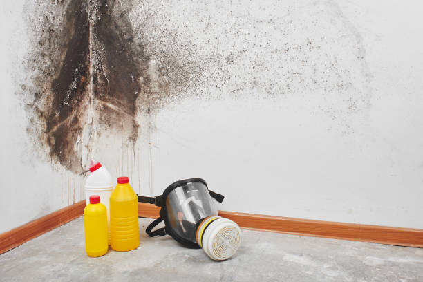 Water Damage Restoration in Cookeville, TN