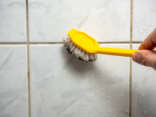 Best Mold Damage Repair  in Cookeville, TN