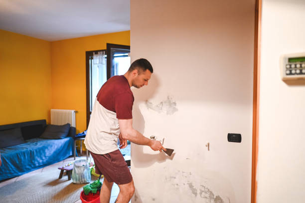 Best Commercial Mold Removal  in Cookeville, TN